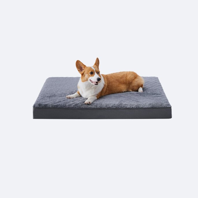 Small Puppy Bed