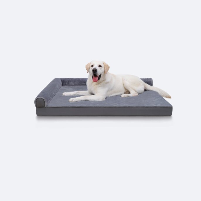 dog travel mat