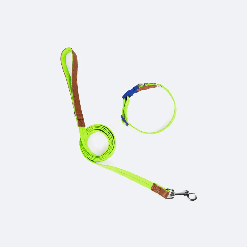 Dog Collar and Leash Set
