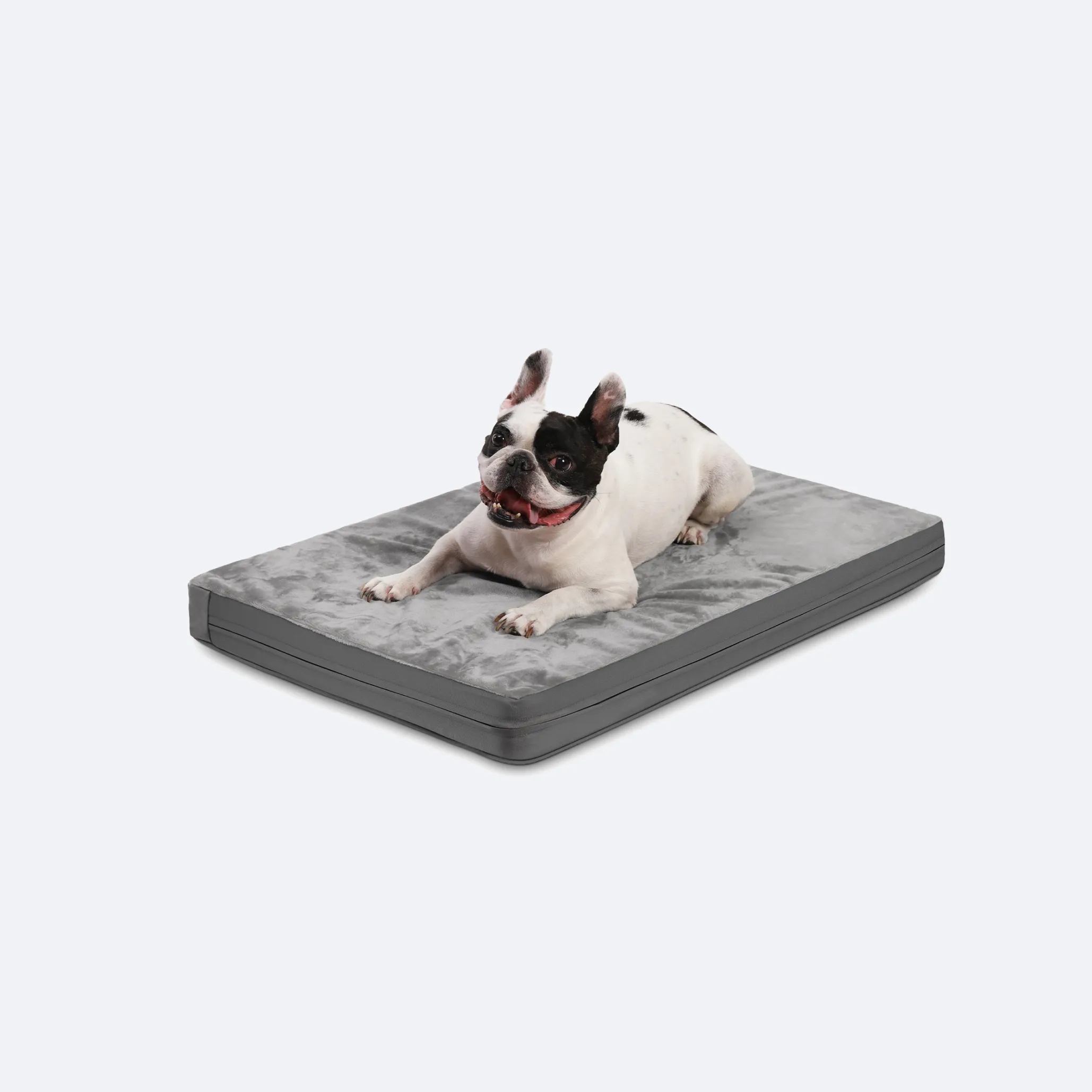 dog matt