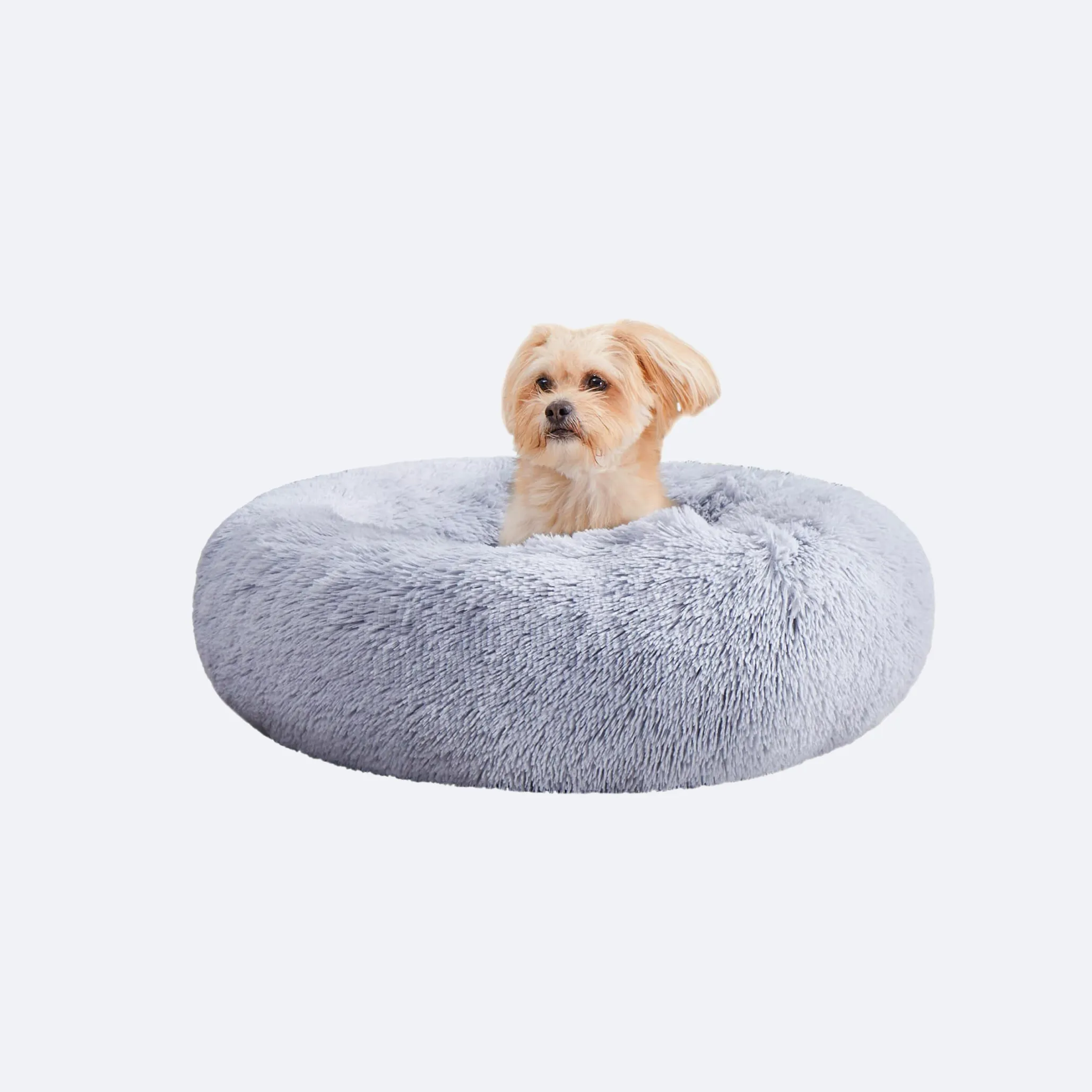small puppy bed
