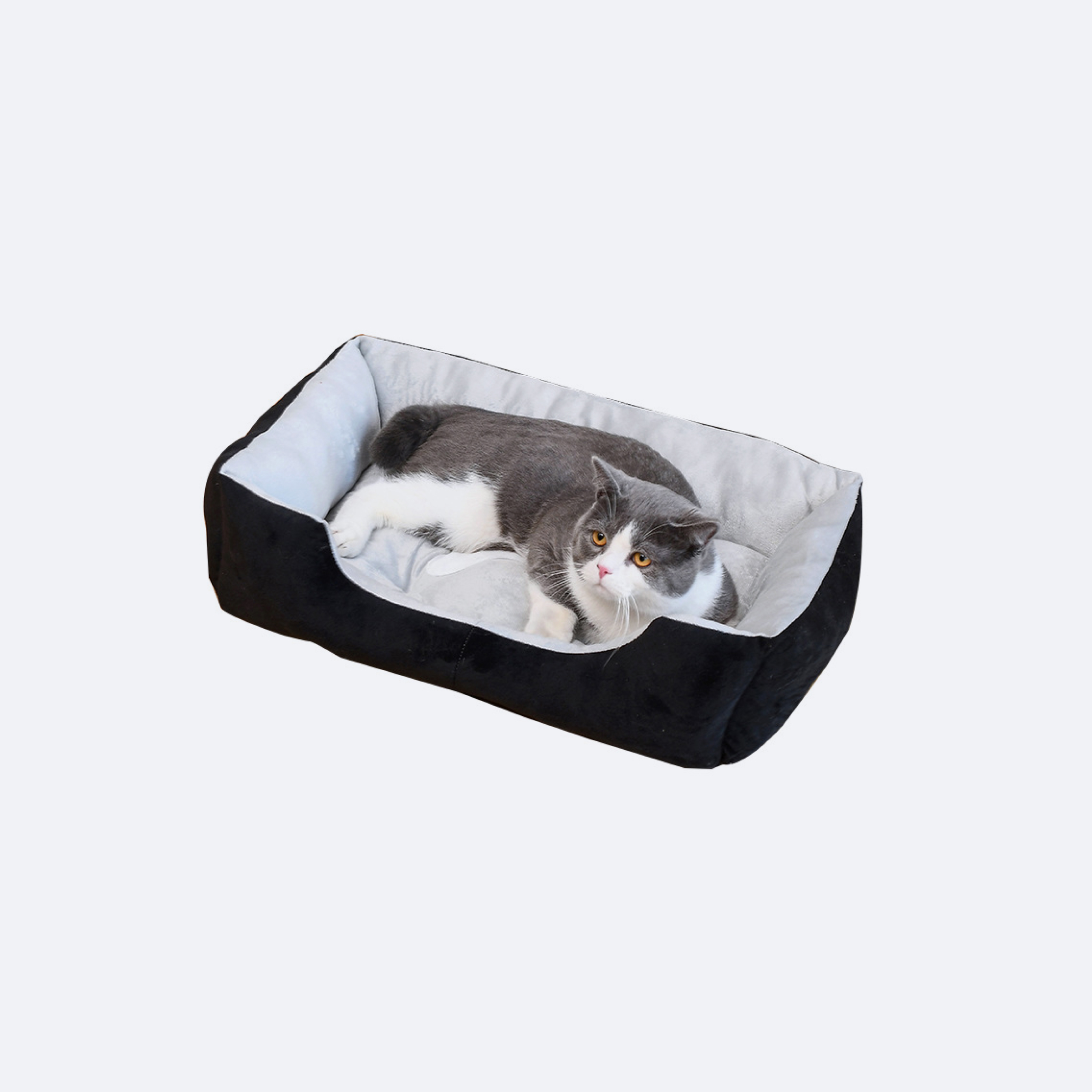pet pads for cats