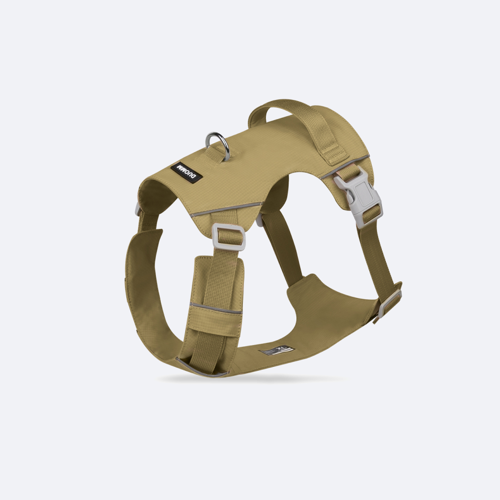big dog harness