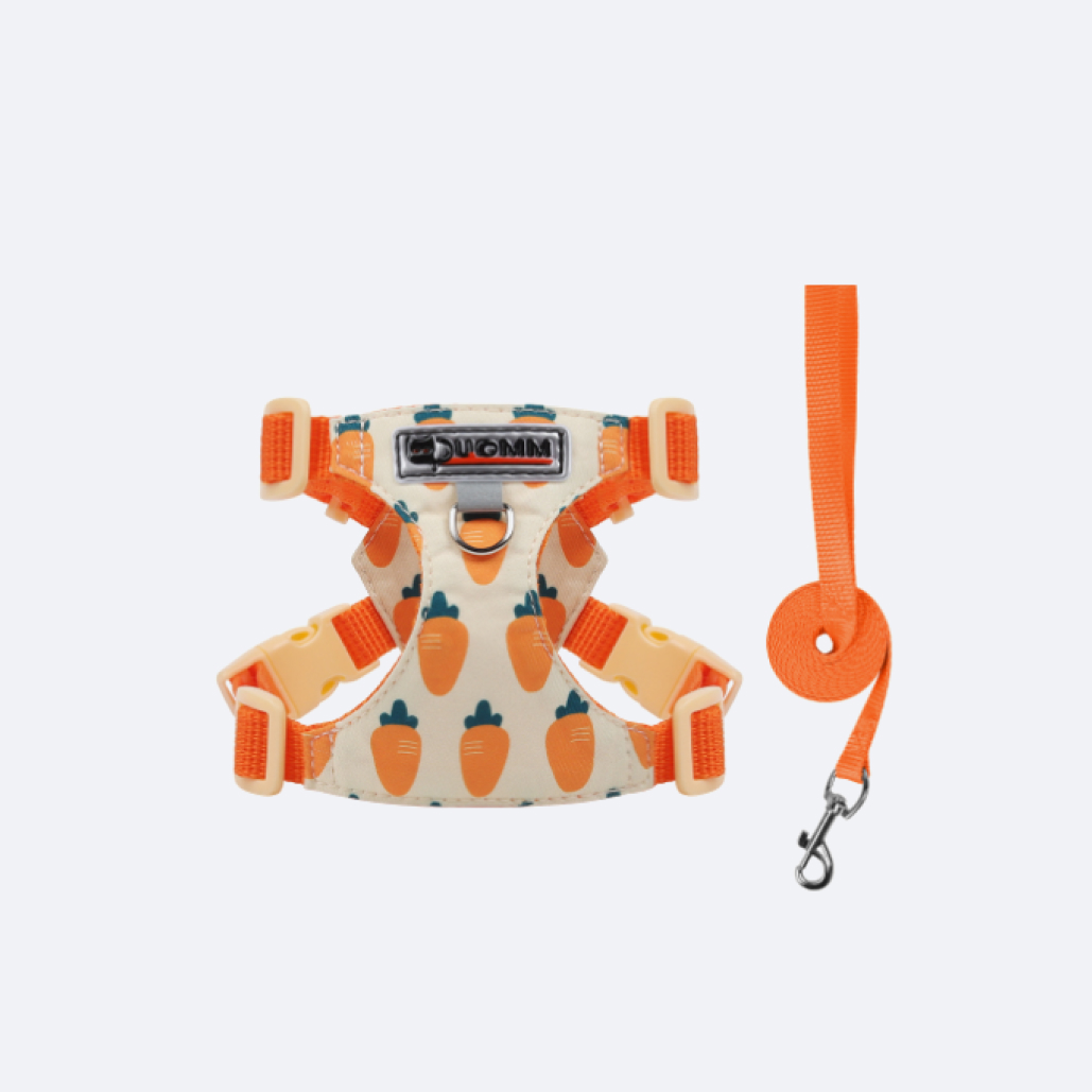 kitten harnesses