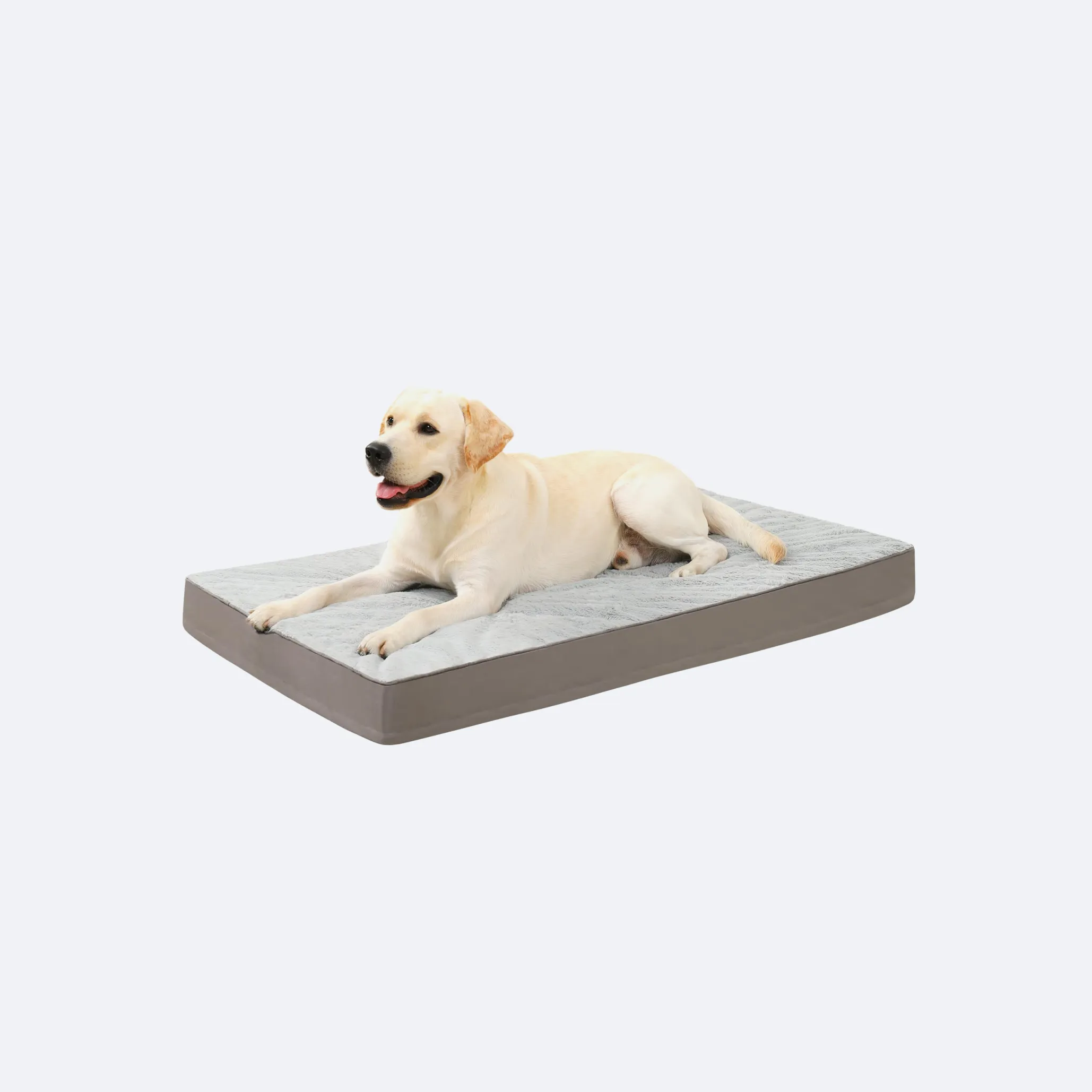 washable dog pads