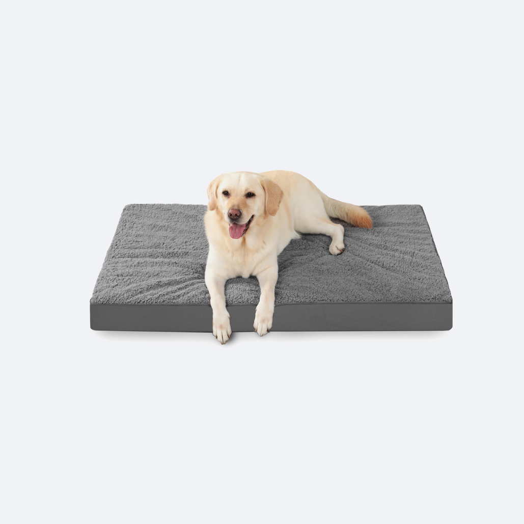 dog bed mat