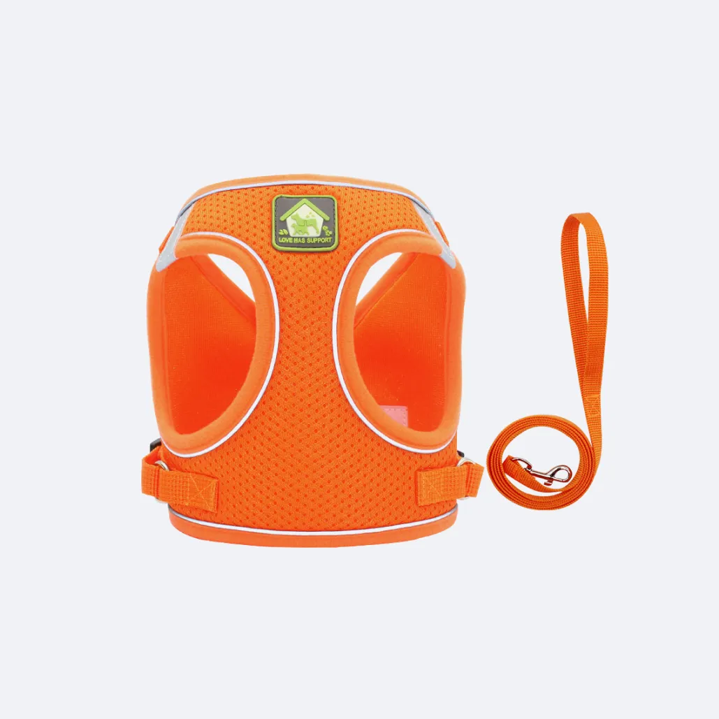 small dog harness