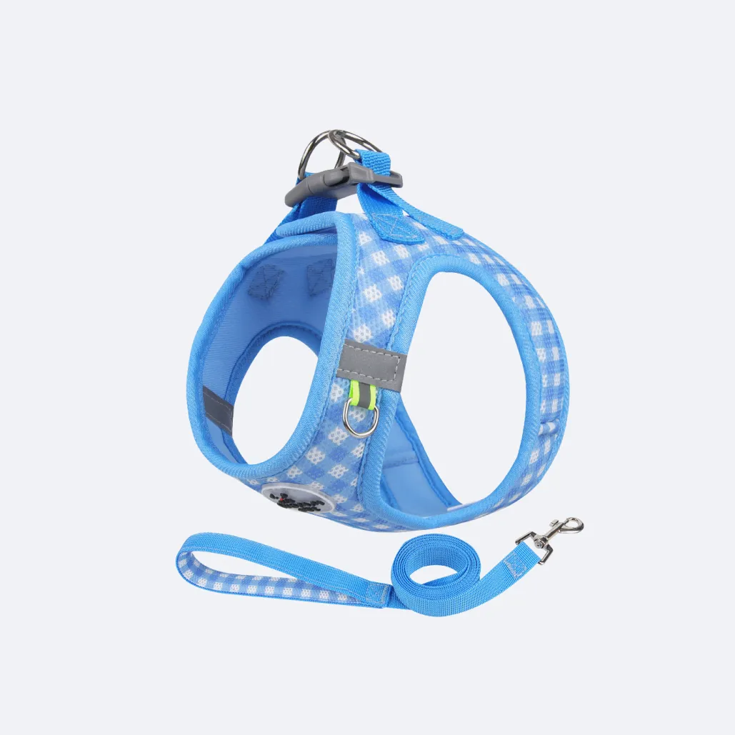 harness on puppy