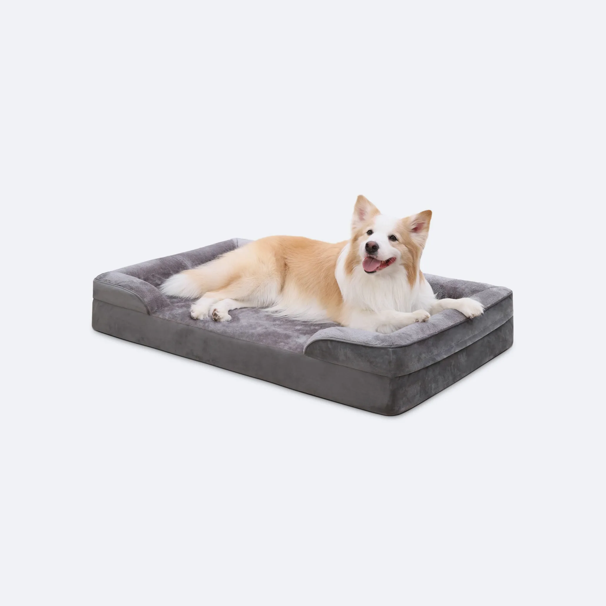bolster dog bed