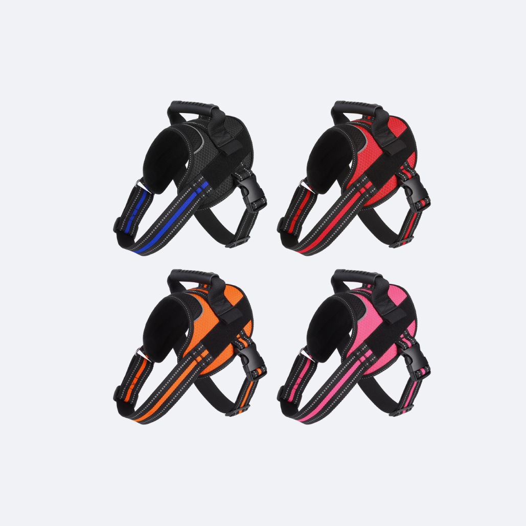 pet safe easy walk harness