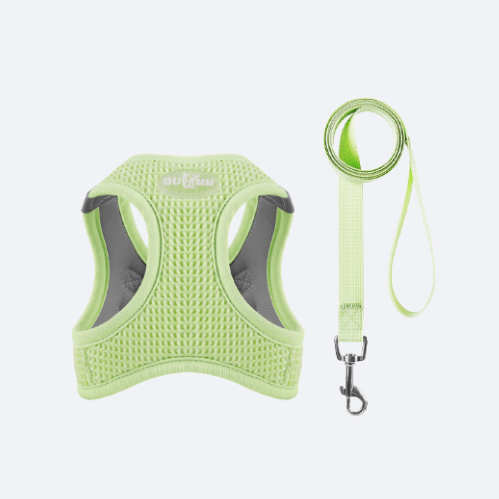 dog sling carrier