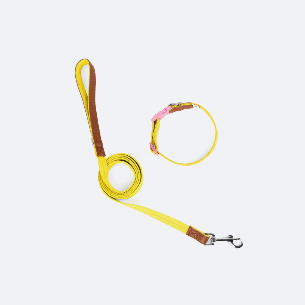 Dog Collar and Leash Set