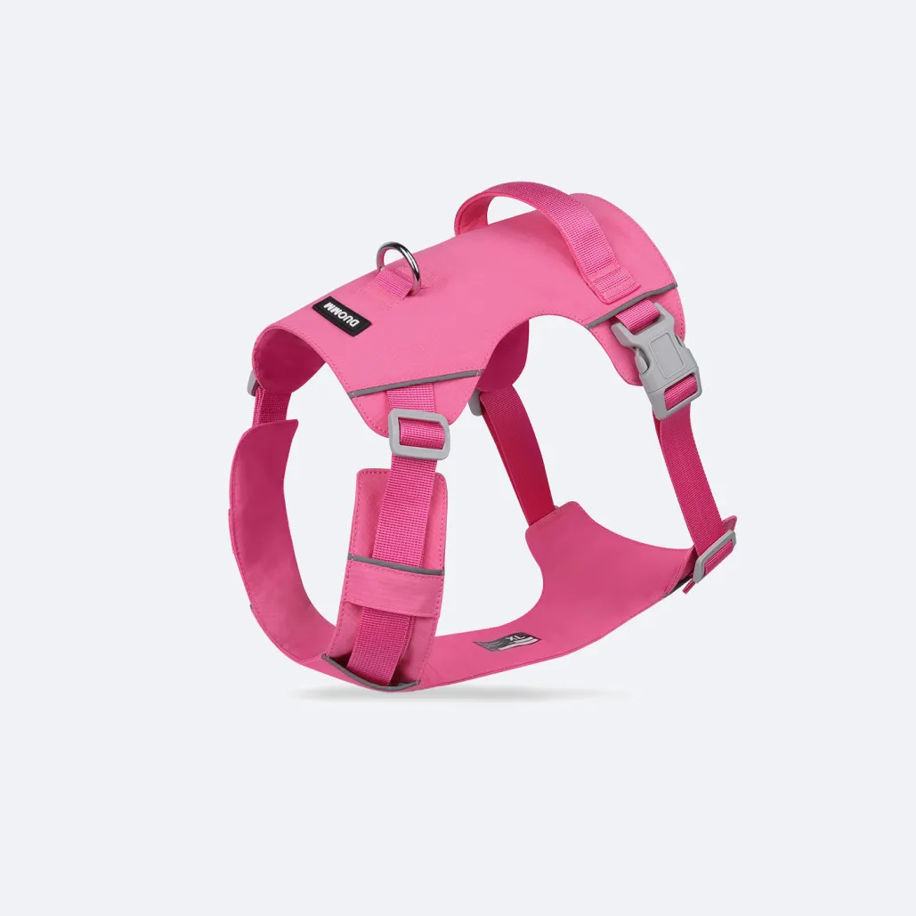 big dog harness