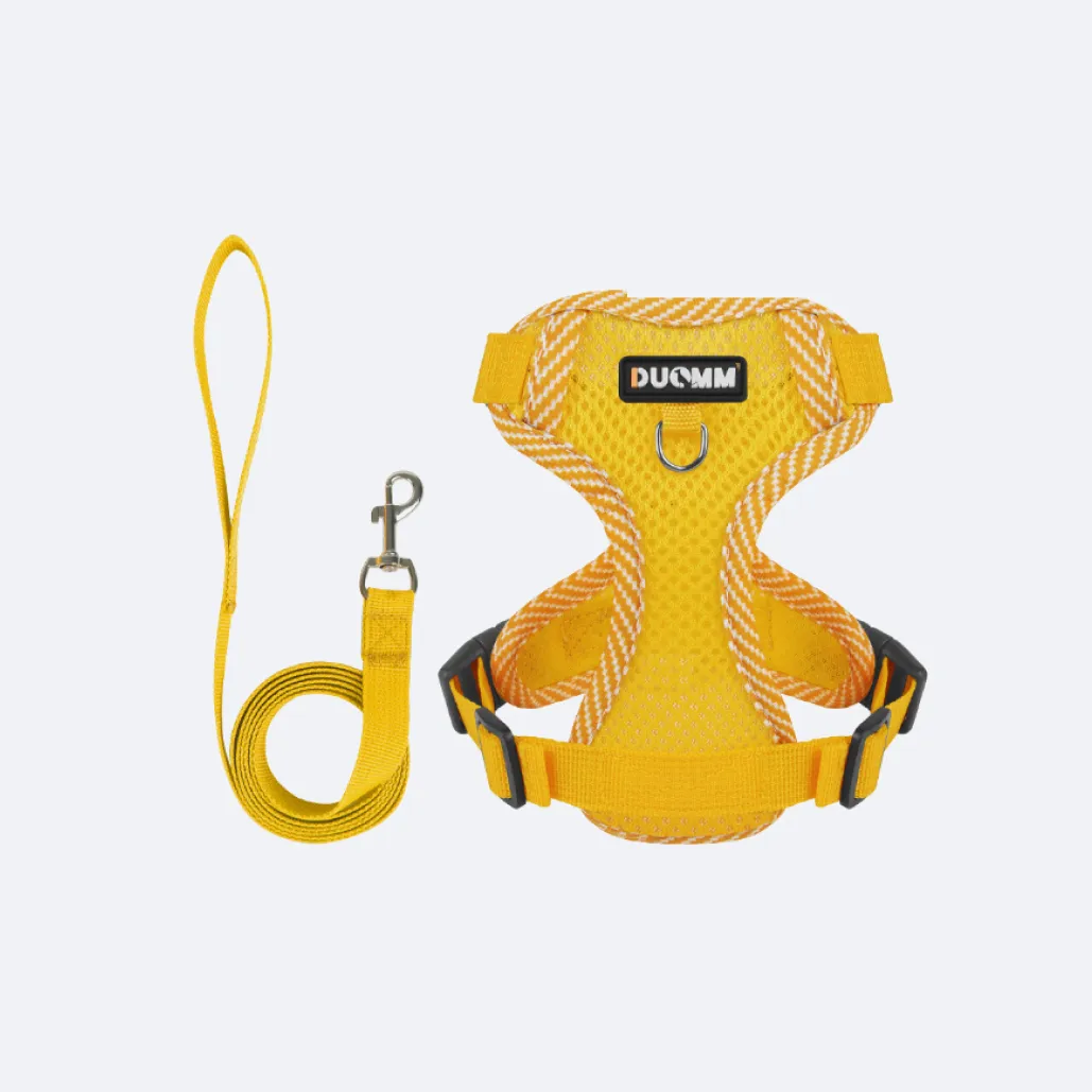 cat halter and leash