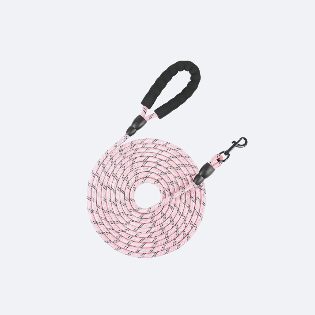 long dog leash