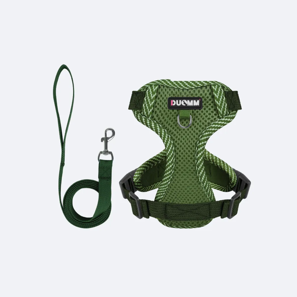 cat halter and leash