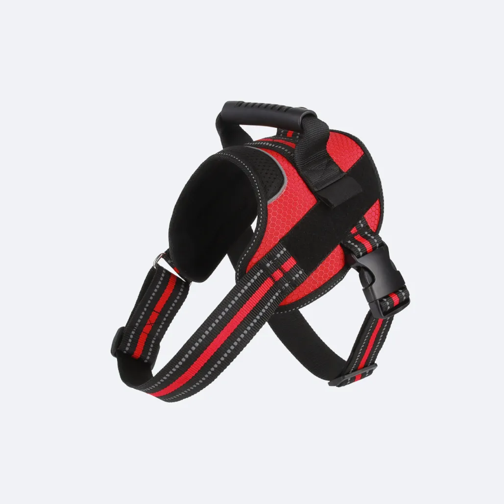pet safe easy walk harness