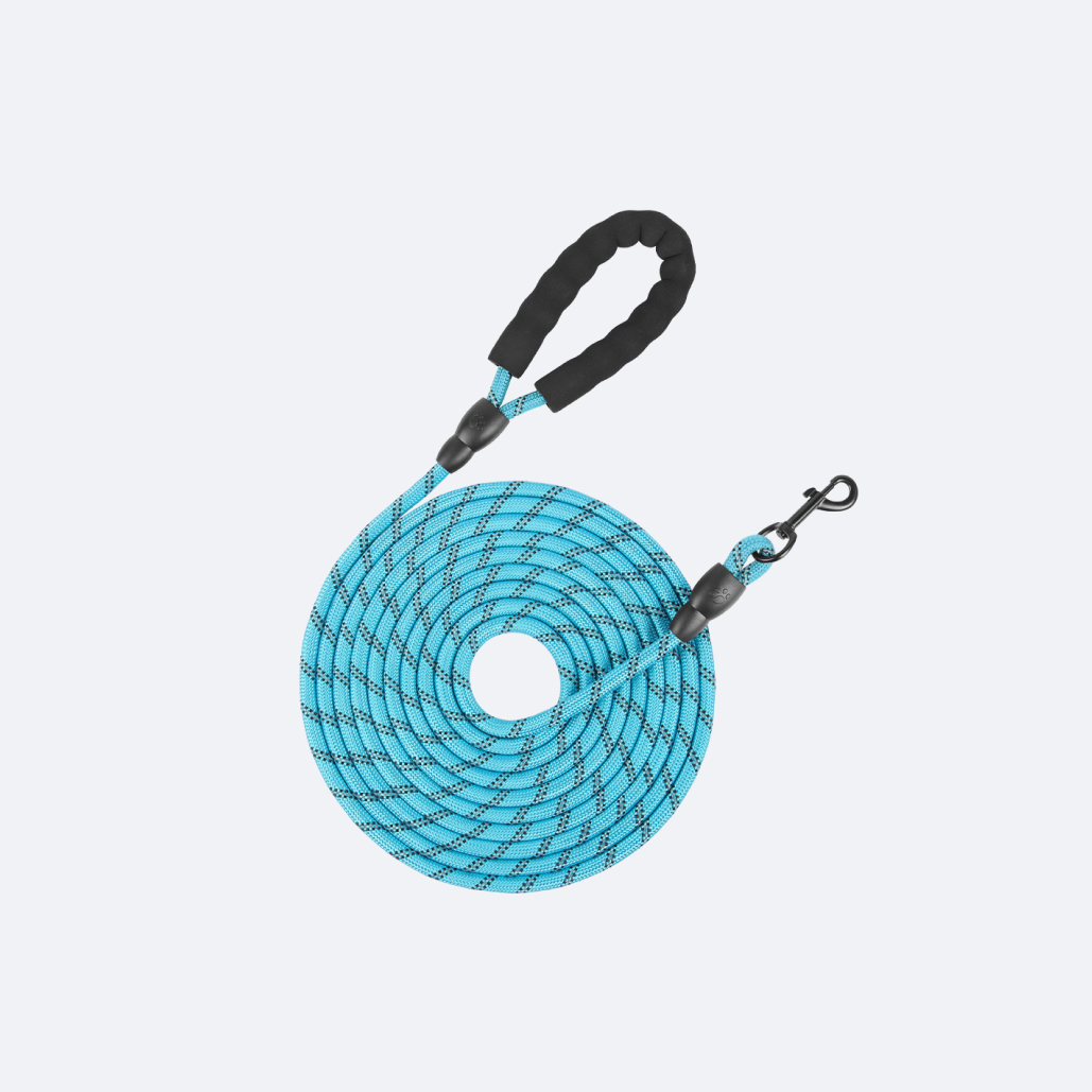 long dog leash