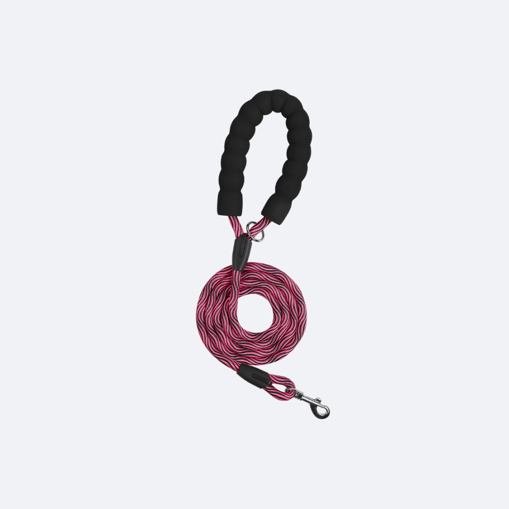 rope dog leash