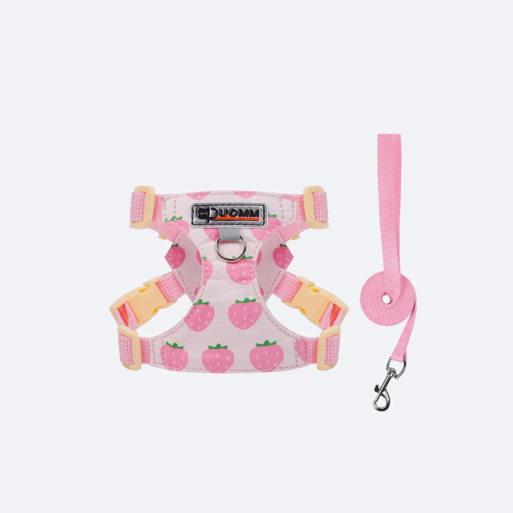 kitten harnesses