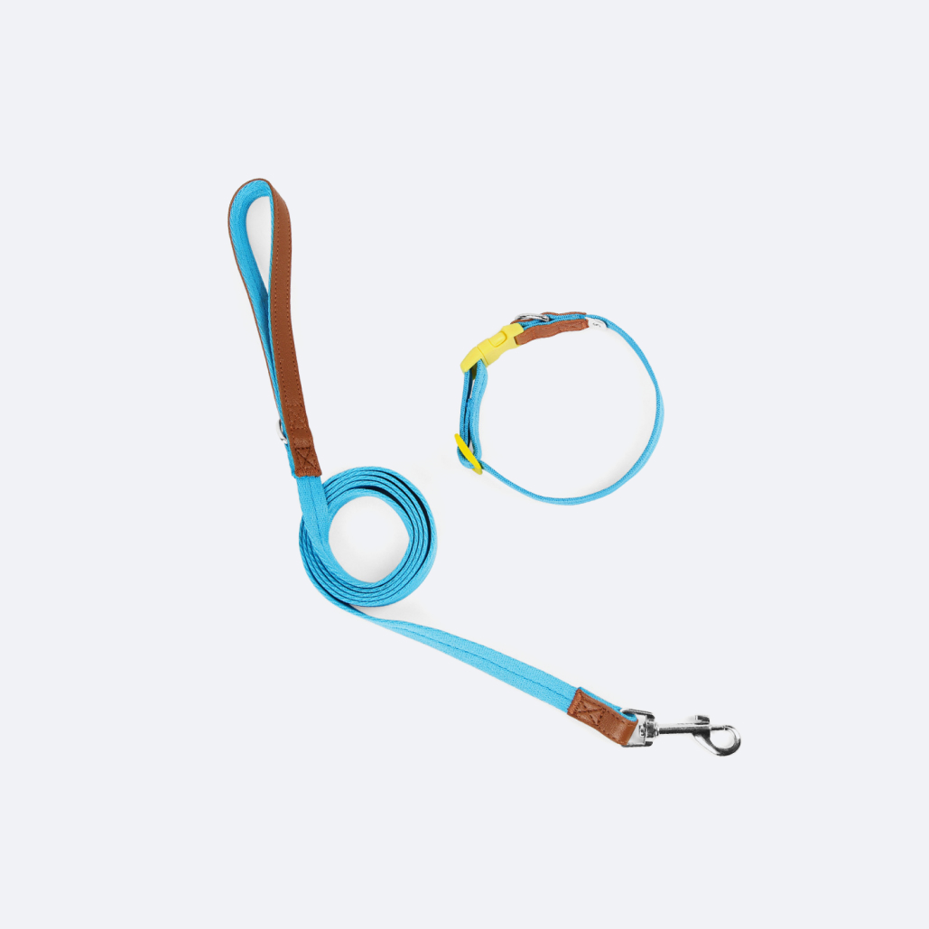 Dog Collar and Leash Set