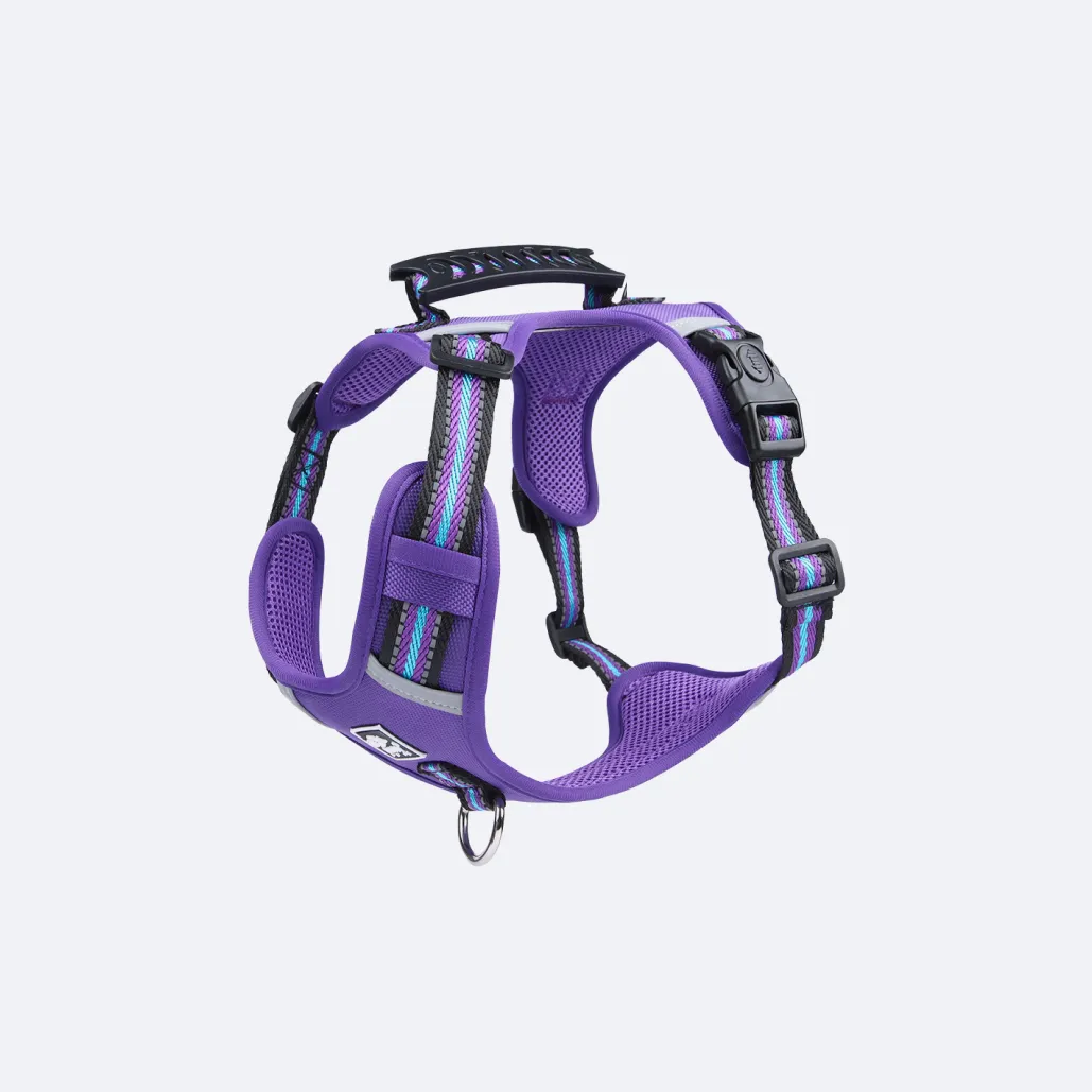 dog vest harness