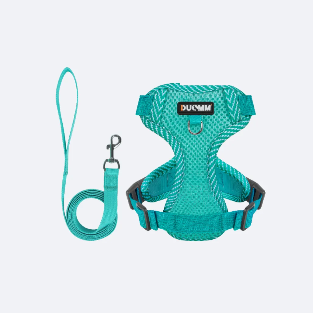 cat halter and leash