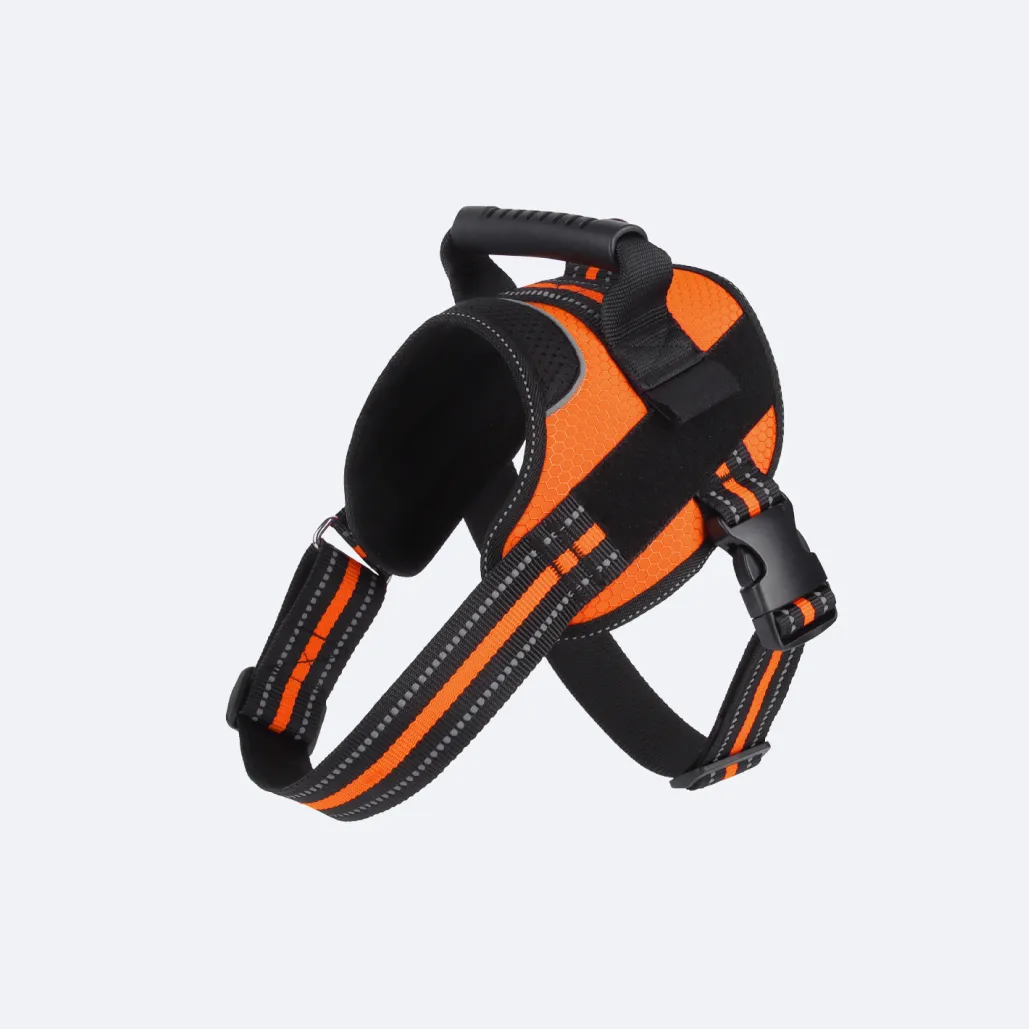 pet safe easy walk harness