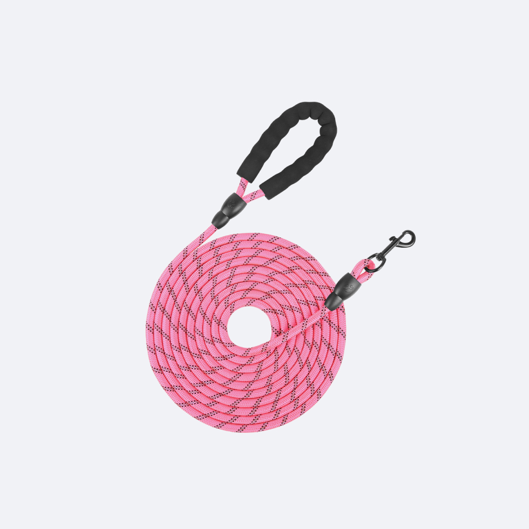long dog leash