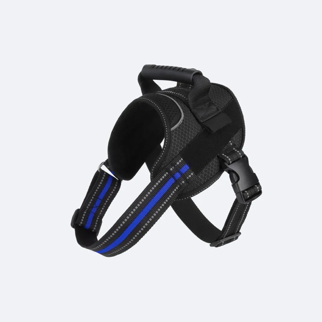 pet safe easy walk harness