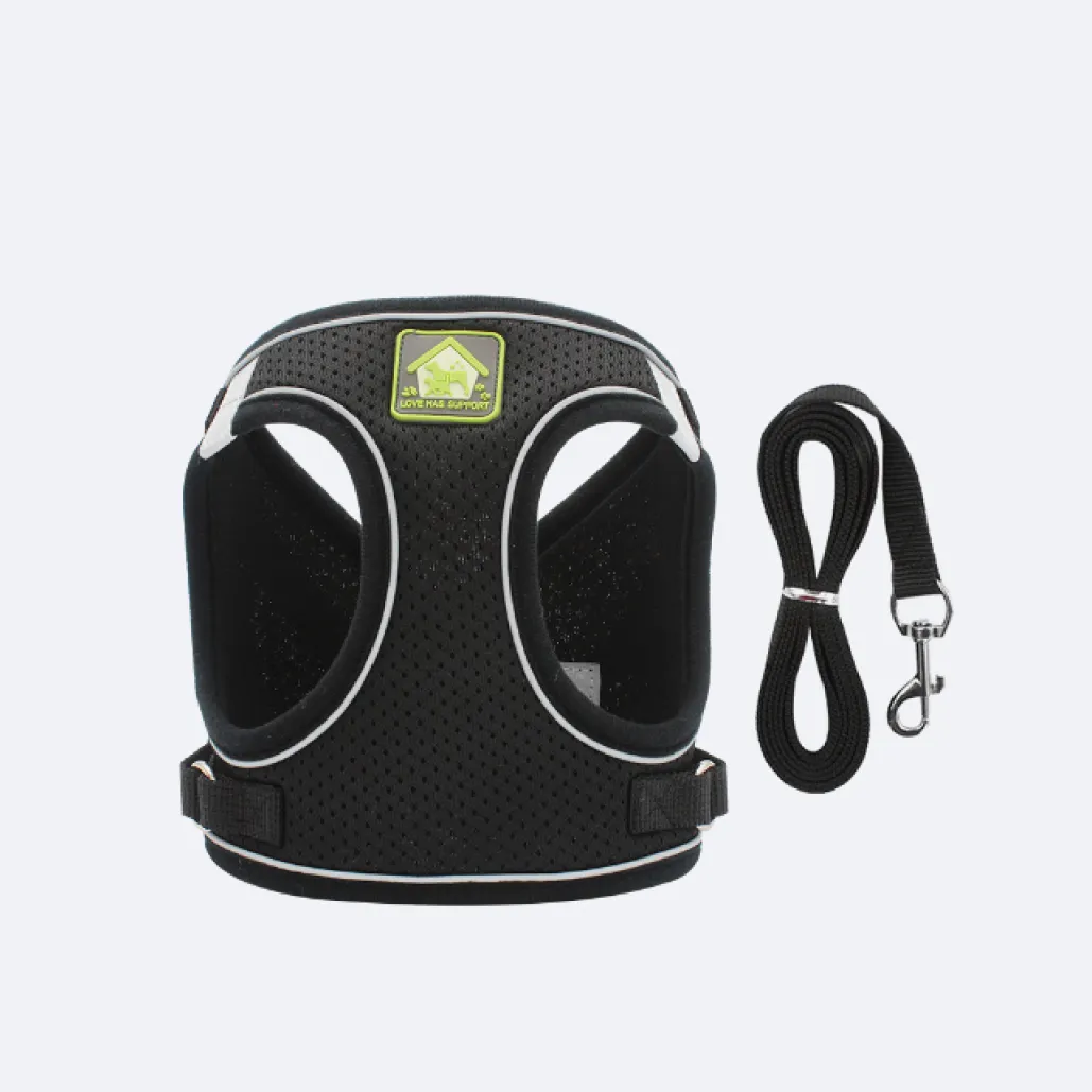 small dog harness