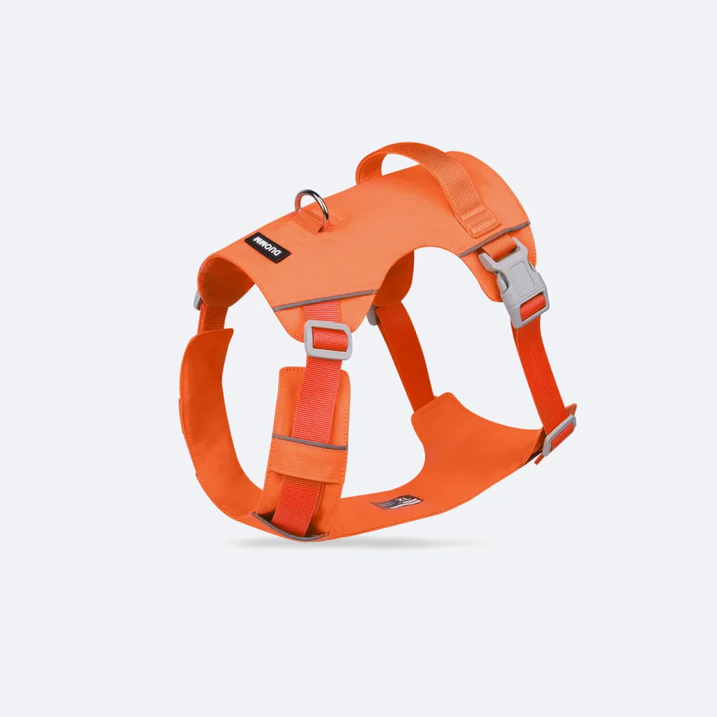 big dog harness