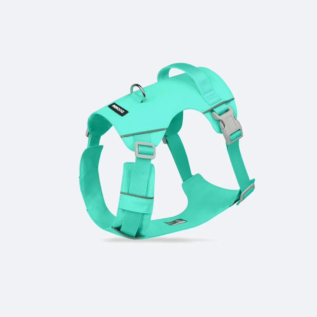 big dog harness