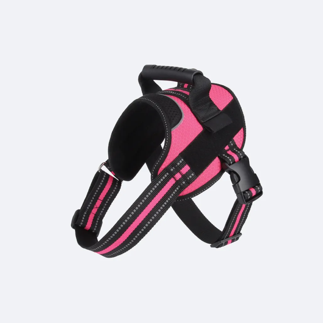 pet safe easy walk harness