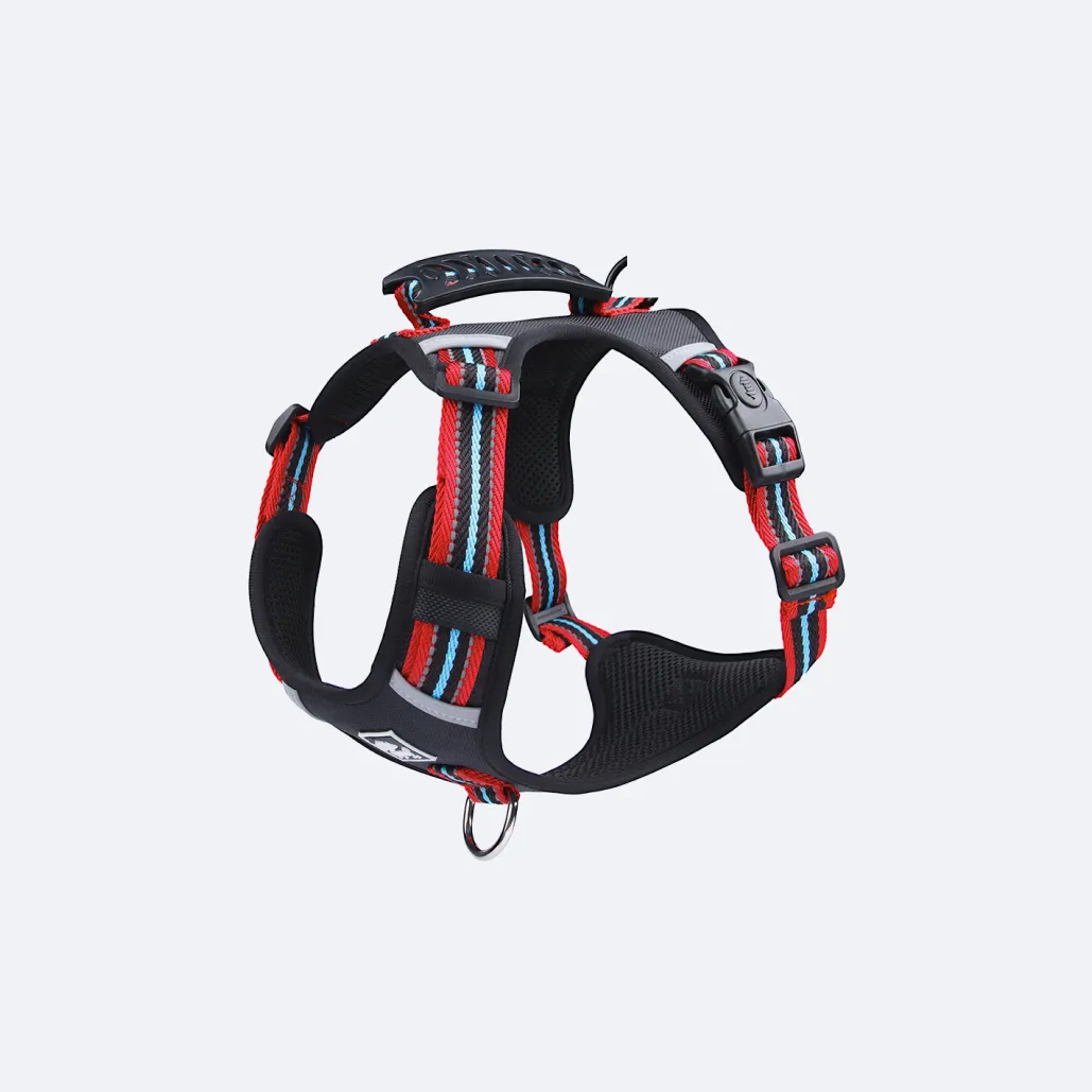 dog vest harness