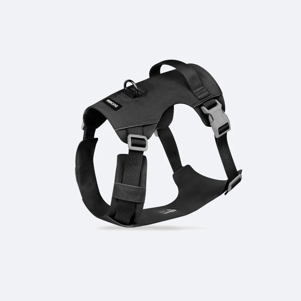 big dog harness