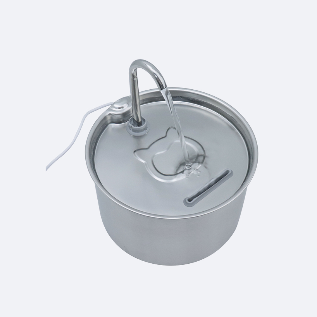 smart dog water fountain