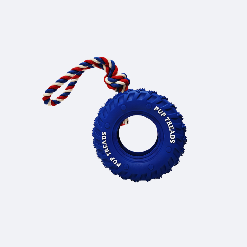 Dog Ball on Rope