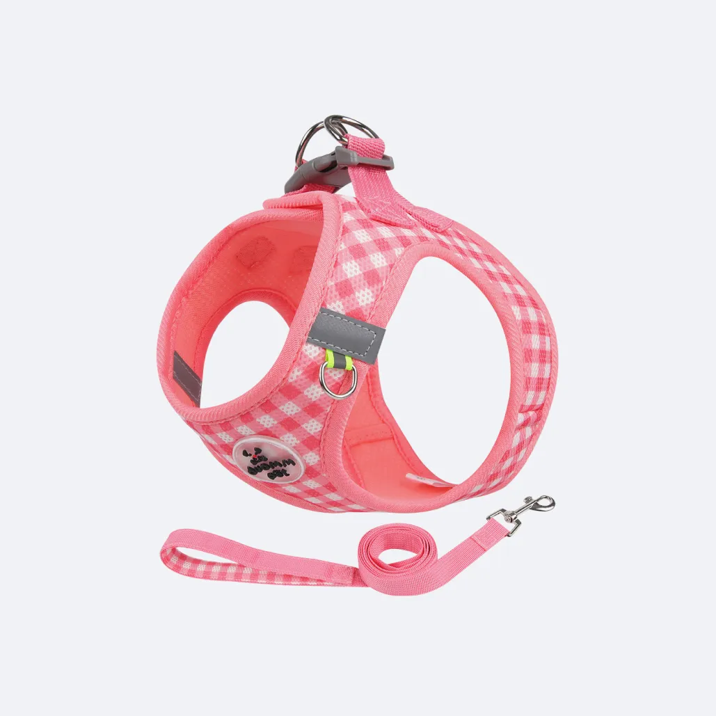 harness on puppy