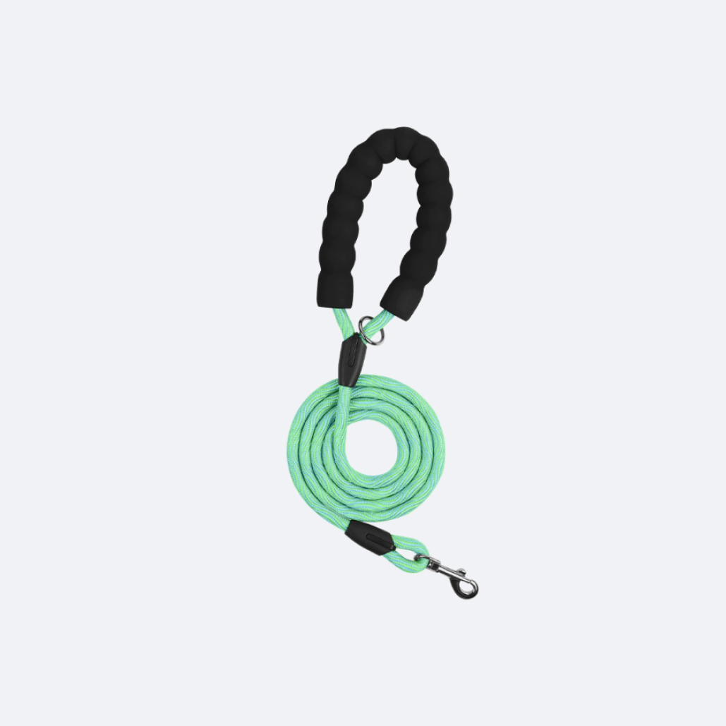 rope dog leash