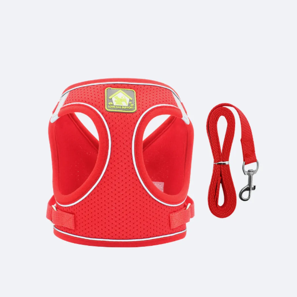 small dog harness