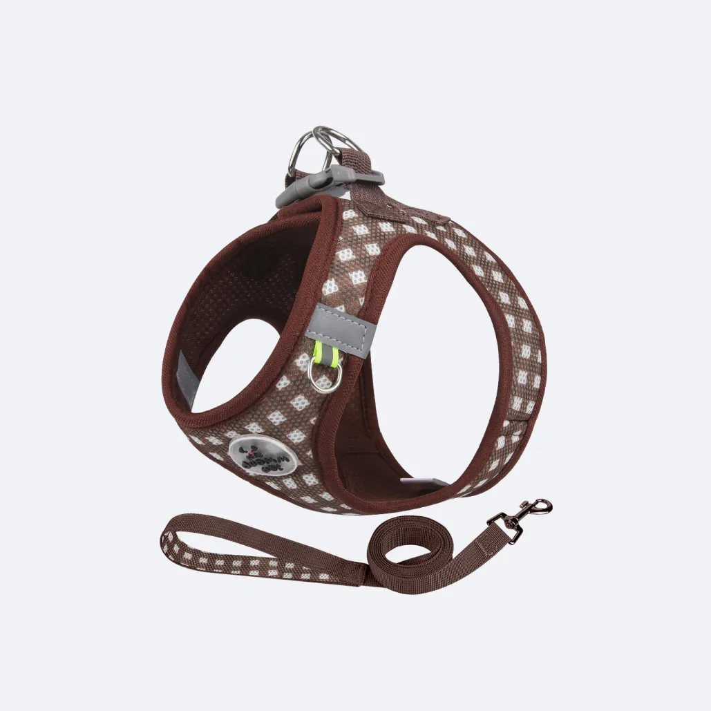 harness on puppy