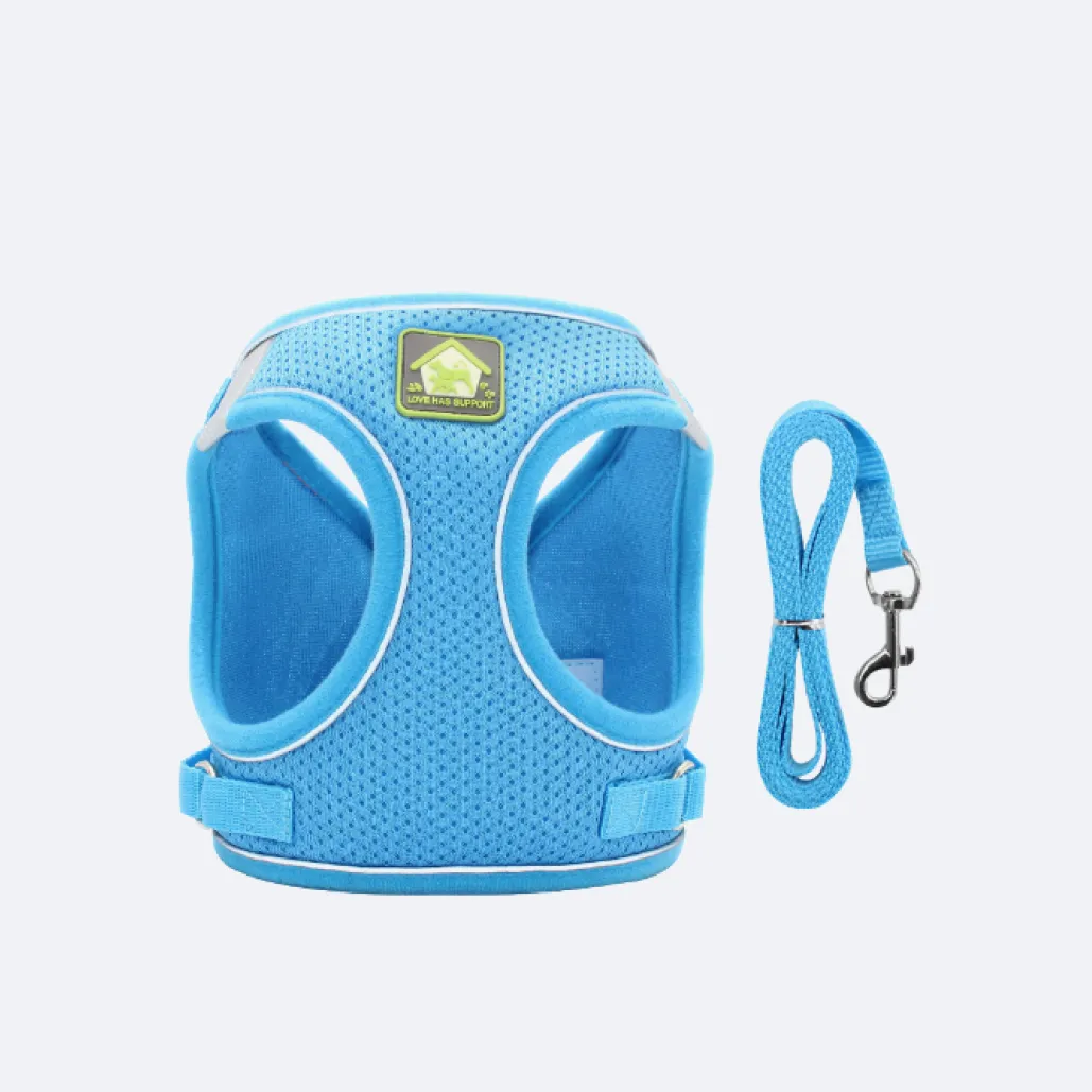 small dog harness
