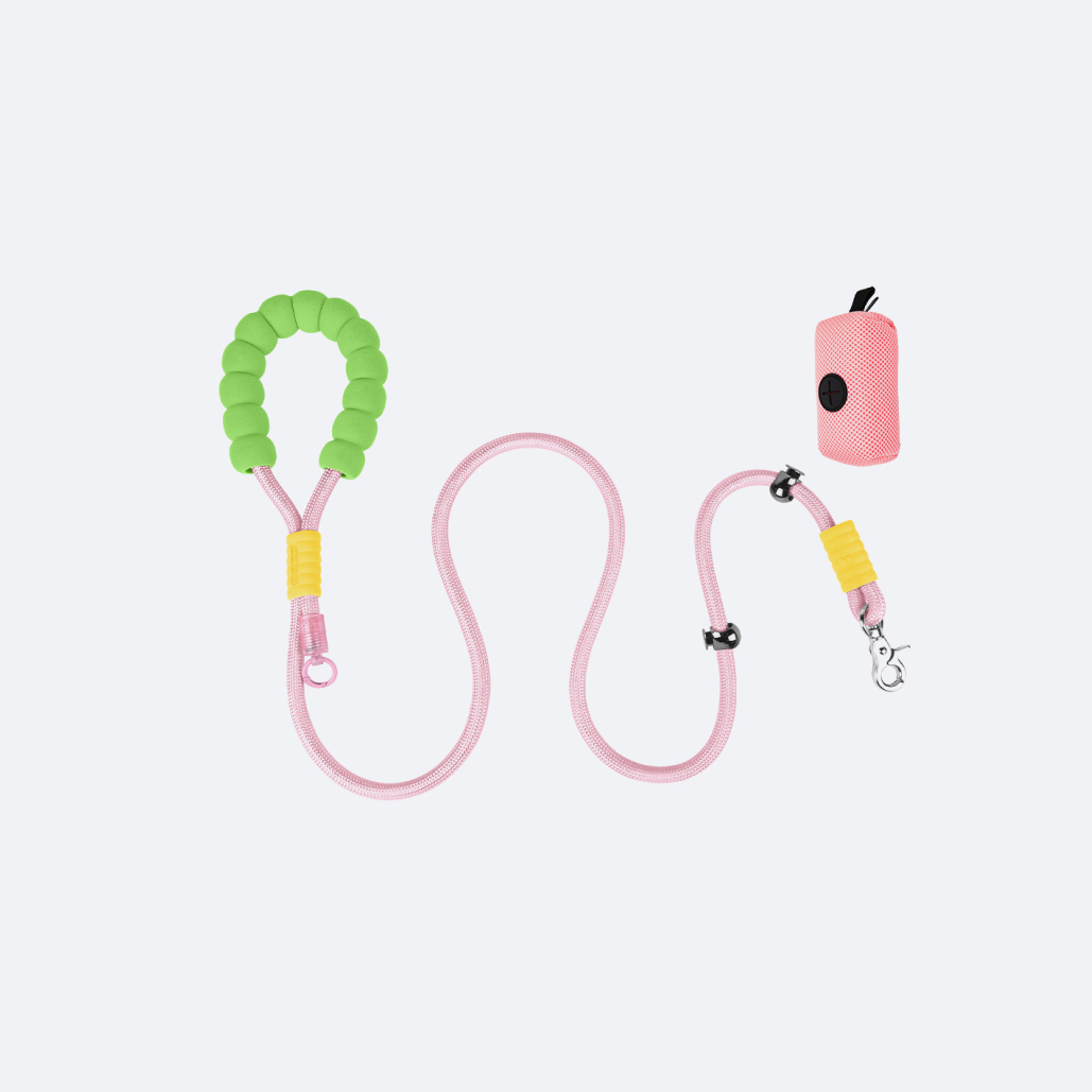 Heavy Duty Dog Leash