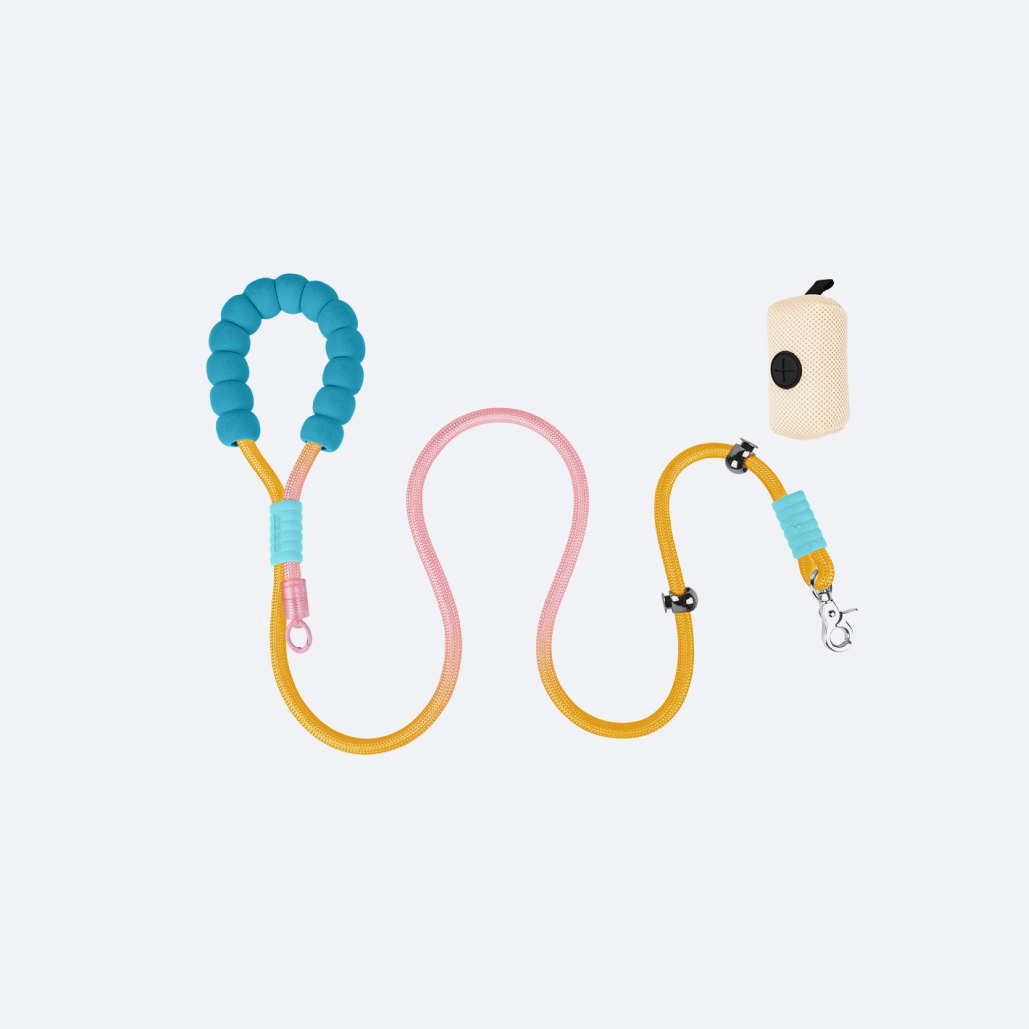 Heavy Duty Dog Leash