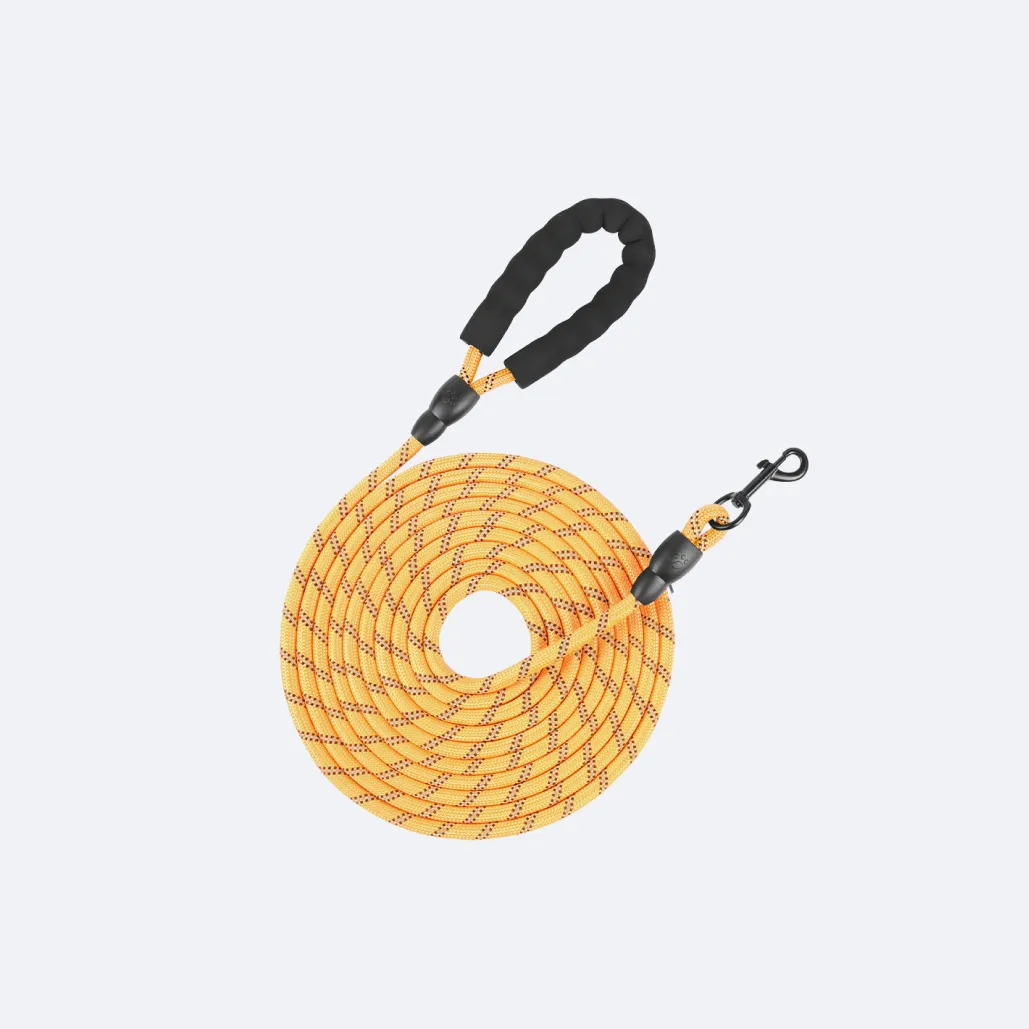 long dog leash