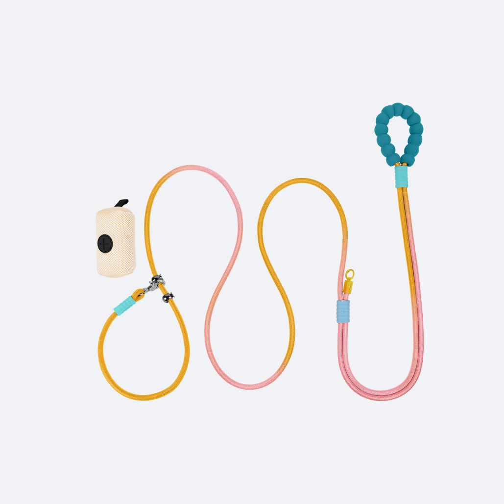 Waterproof Dog Leash