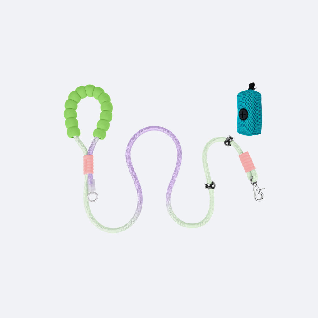 Heavy Duty Dog Leash