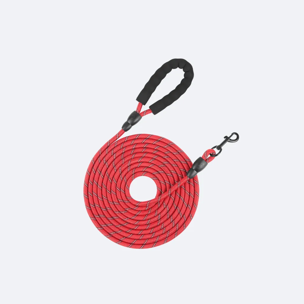 long dog leash