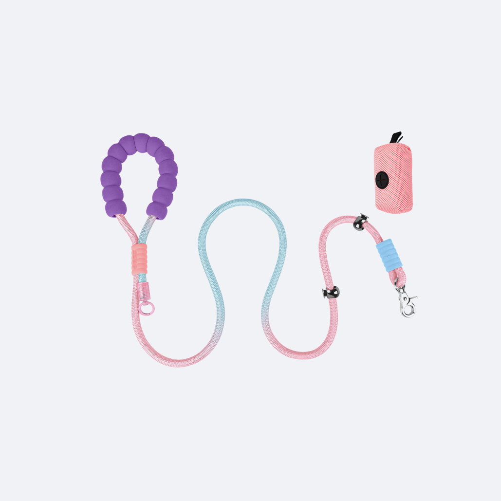 Heavy Duty Dog Leash
